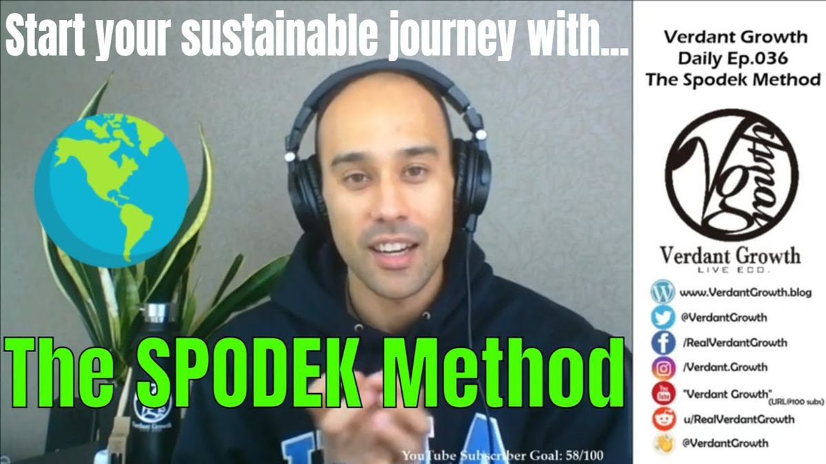 The VG Daily: 036 - The Spodek Method: Making Meaningful, Sustainable Changes