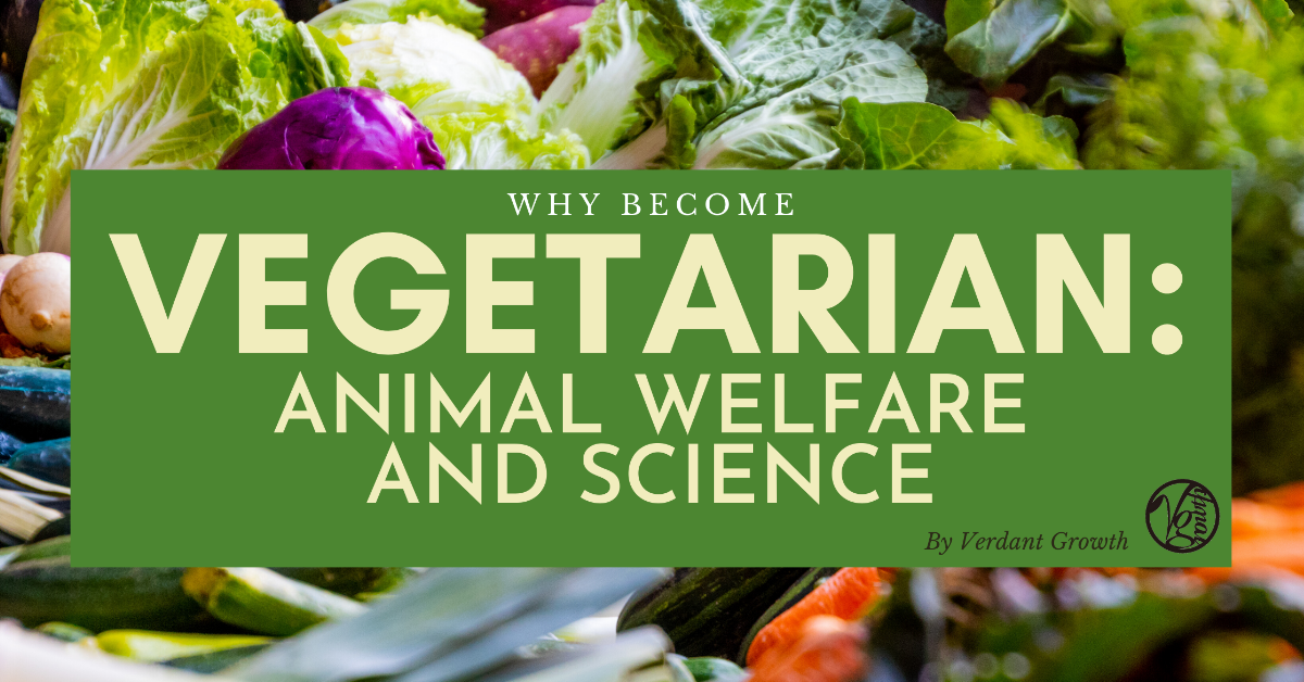 Why Become Vegetarian?: Animal Welfare & Science