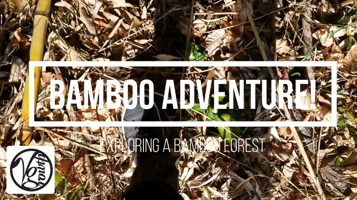 YT: Bonus Bamboo Adventure