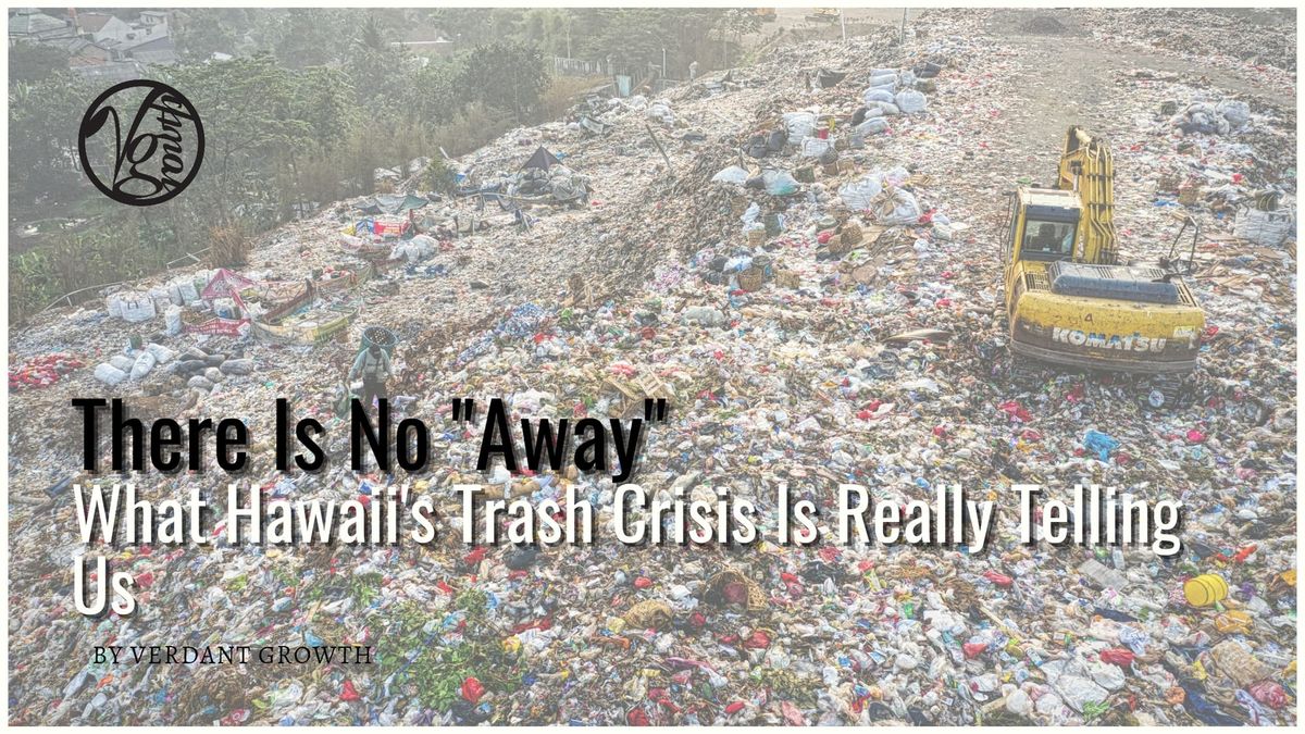 There Is No "Away": What Hawaii's Trash Crisis Is Really Telling Us