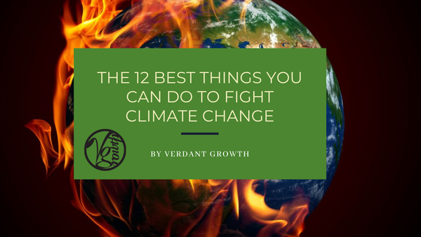 The 12 Best Things You Can Do To Fight Climate Change