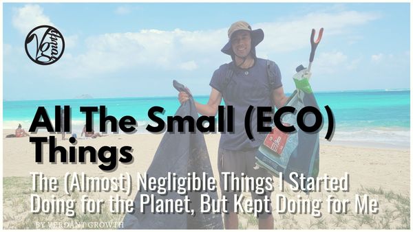 All The Small (ECO) Things