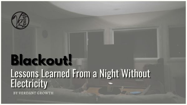 Blackout! Lessons Learned From a Night Without Electricity