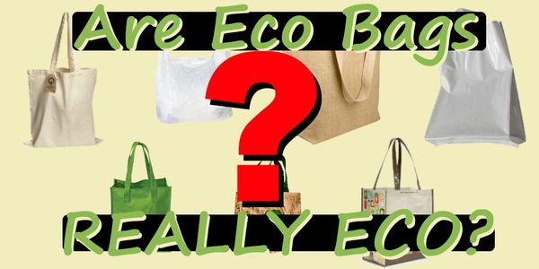 Are Eco Bags REALLY ECO?