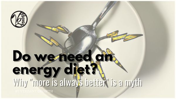 Do We Need an Energy Diet? - Why 'More is Always Better' is a Myth