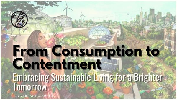 From Consumption to Contentment: Embracing Sustainable Living for a Brighter Tomorrow