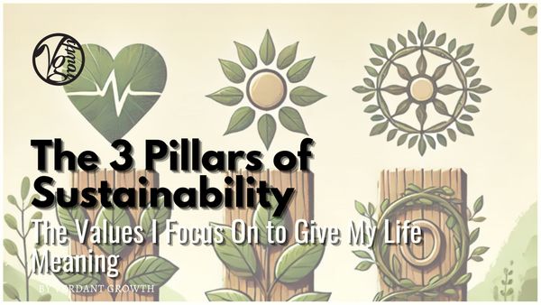 My 3 Pillars of Sustainability - The Values I Focus On To Give My Life Meaning