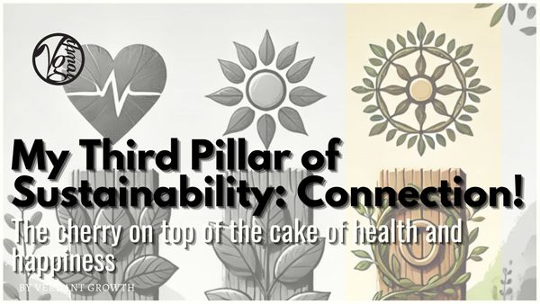 My Third Pillar of Sustainability - Connection