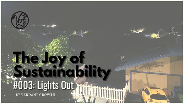 The Joy of Sustainability #003: Lights Out