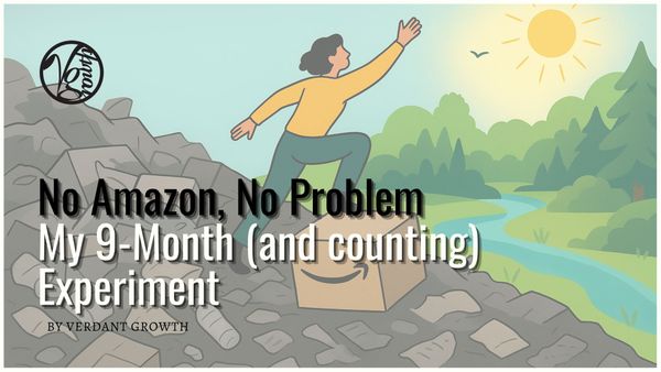 No Amazon, No Problem: My 9-Month (and counting) Experiment