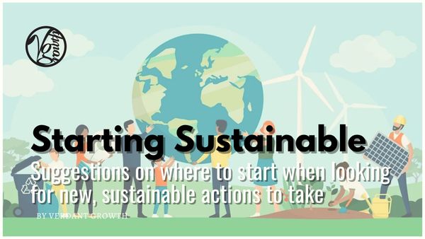 Starting Sustainable - Suggestions on where to start when looking for new, sustainable actions to take
