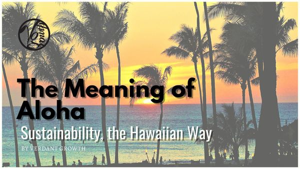The Meaning of Aloha: Sustainability the Hawaiian Way