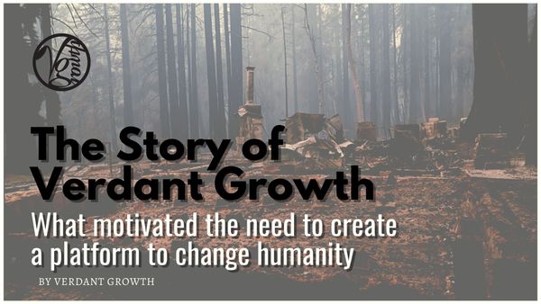 The Story of Verdant Growth