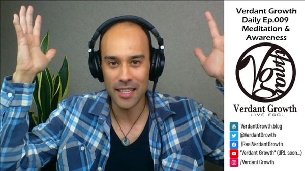 The VG Daily: 009 - Meditation & Awareness