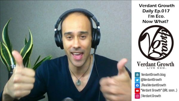 The VG Daily: 017 - I'm ECO. Now what?