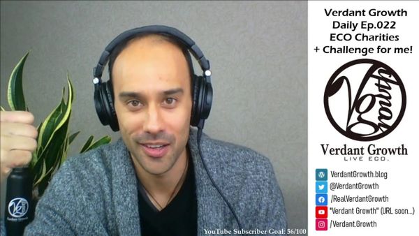 The VG Daily: 022 - Charities and Challenges