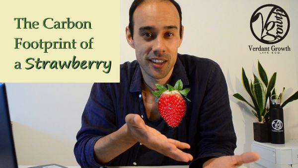 YT: What is the Carbon Footprint of A Strawberry?
