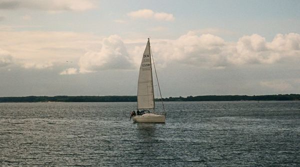 헬스케어 AI, 혼돈을 헤집고 길을 밝히기 위해 [HAIE 2025-46]