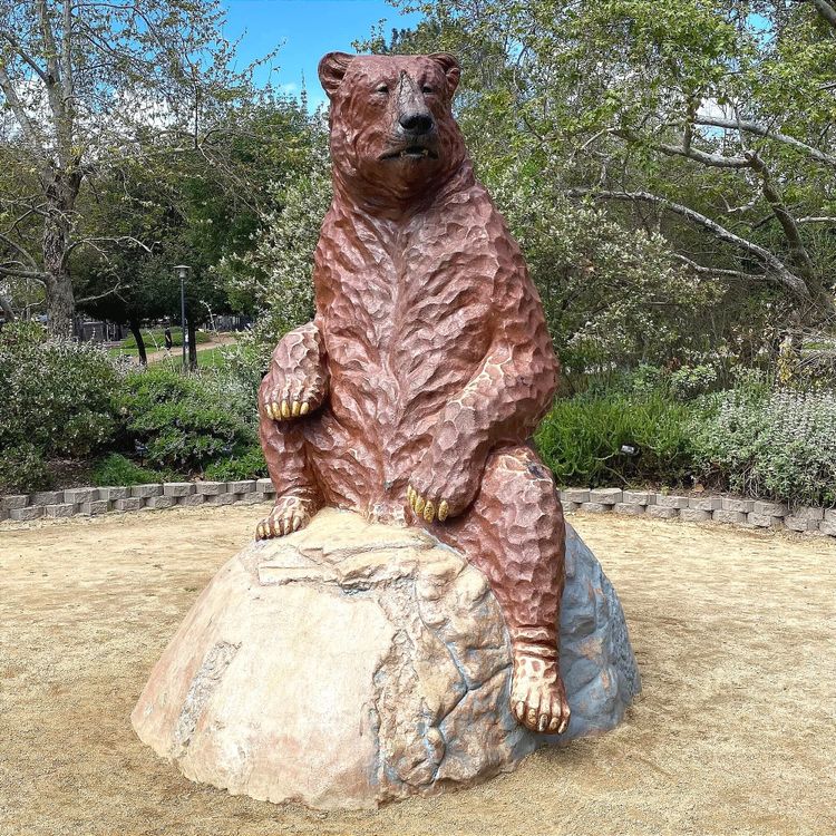 S’more Summer: Adult-only Camps for 2026