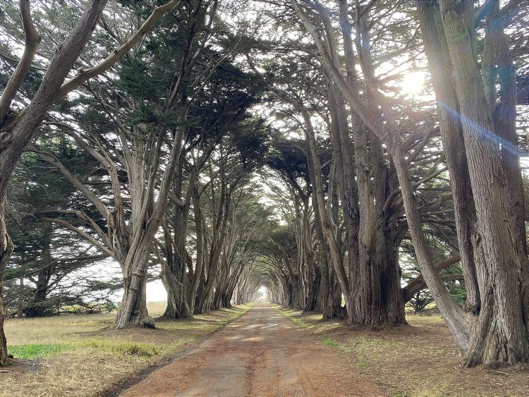 A Whole Wide World of Whimsy Awaits