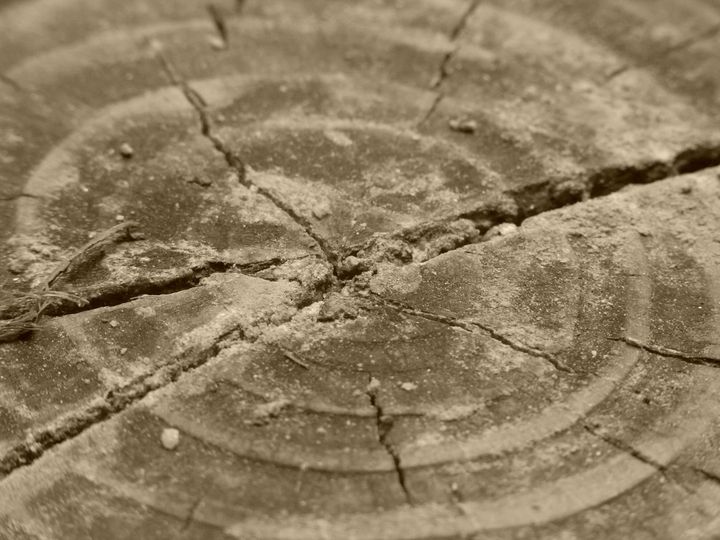 OKR Goal Formatting! - Let's Set Some Goals for 2026