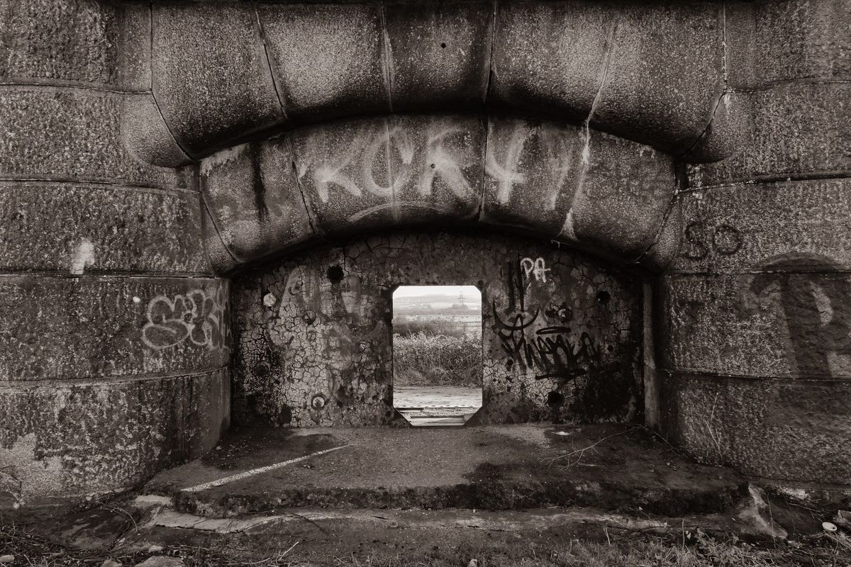 New exhibition explores the nearby natural environment