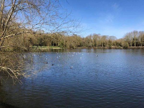 Autumn arrives early