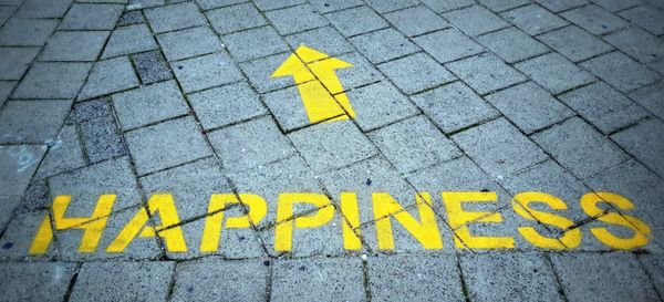 The Pursuit of Medway Happiness