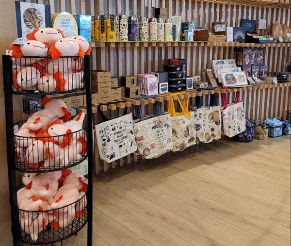 Plushies, pin badges, and carpal tunnel