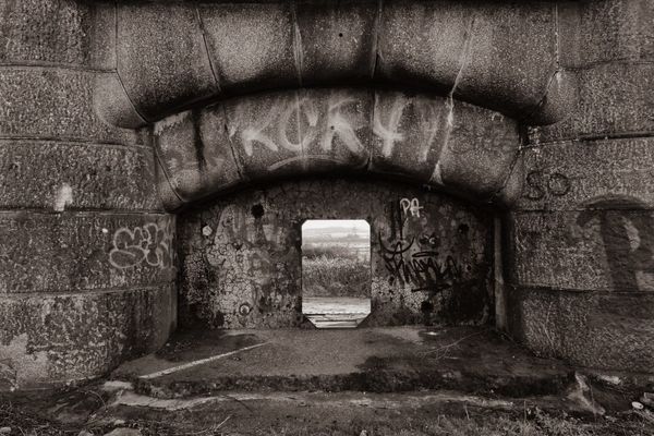 New exhibition explores the nearby natural environment