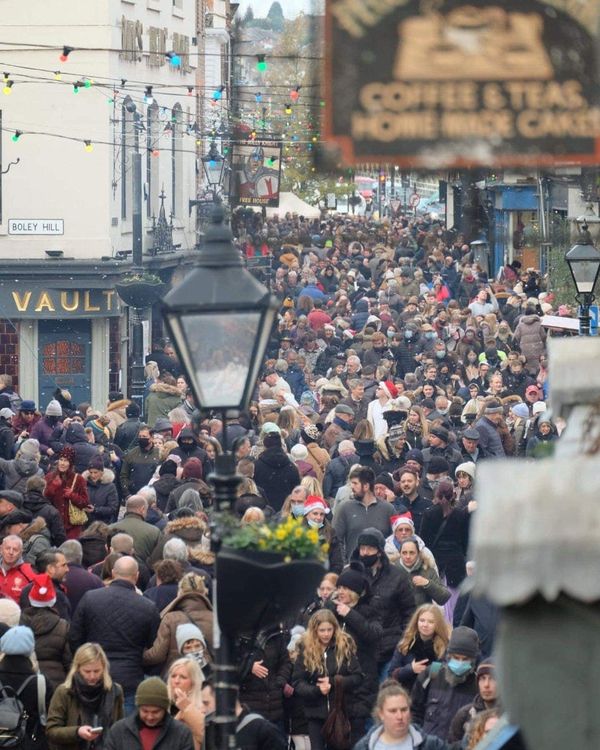 Bonus Authority: Frazzled edition