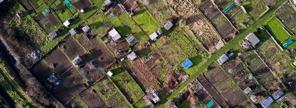 Do we need to allot more allotments?