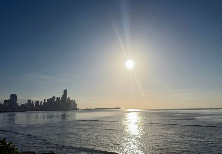 Starting Here, On Purpose