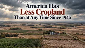 America Has Less Cropland Than at Any Time Since 1945