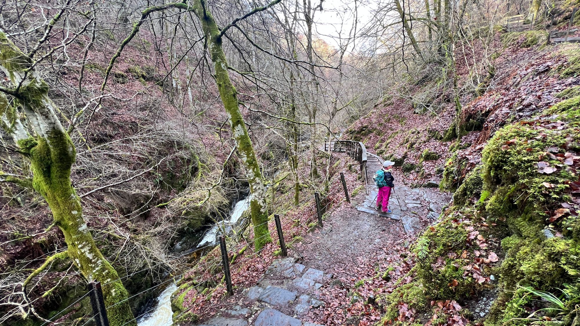 The falls are huge and noisy. No image will captured there magnificence and spender