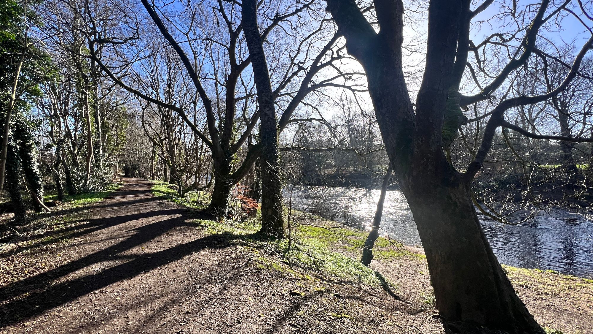 The path was flat and soft underfoot. A welcome change after the tarmac path around Strathclyde Loch