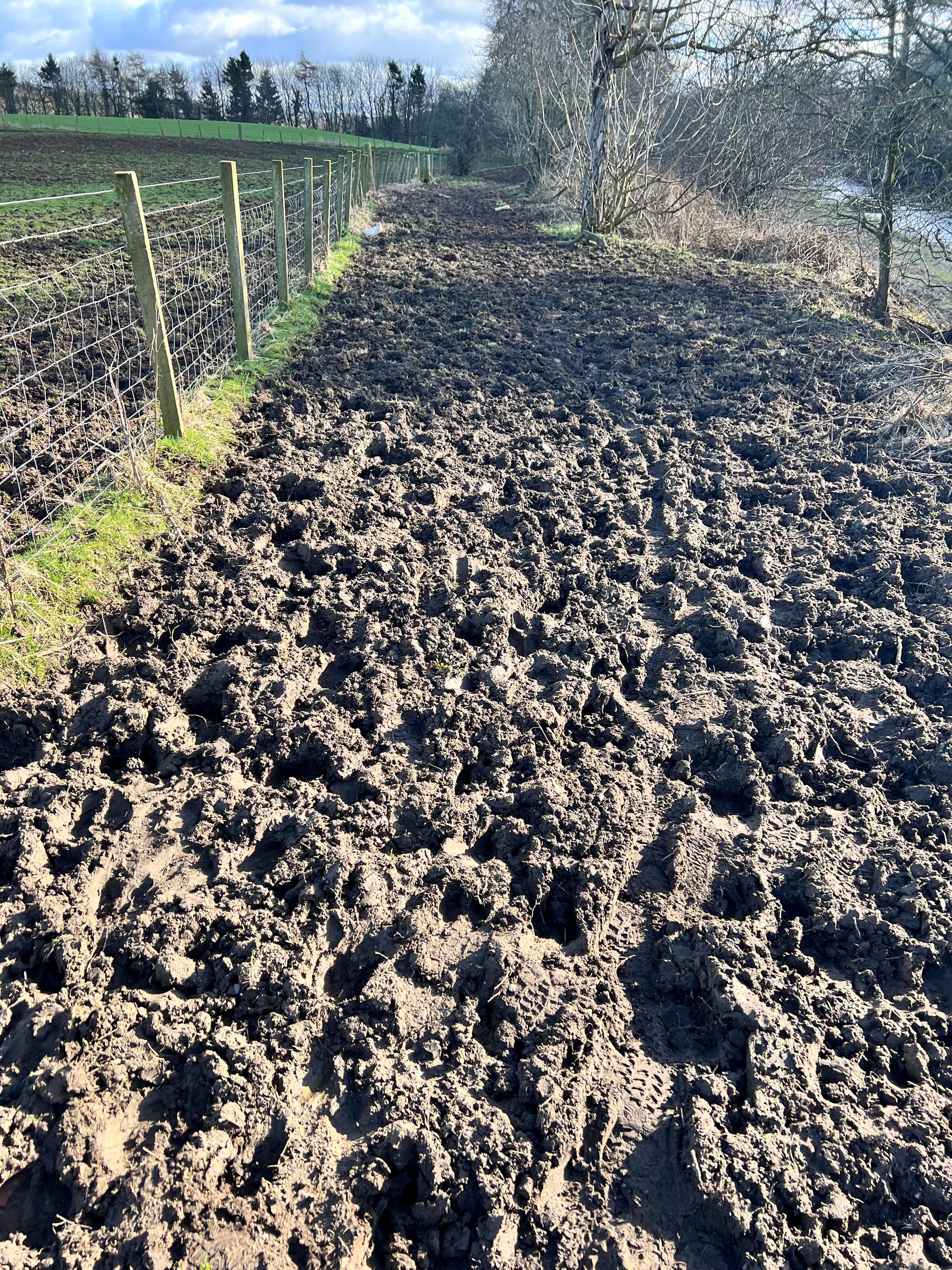 Some of the tussocks that got progressively more wet and muddy! It was a real challenge to keep on our feet!
