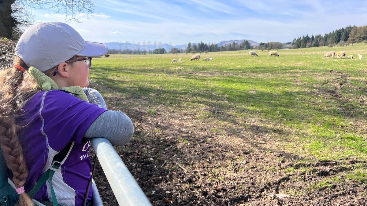 West Highland Way | Day 2 Post feature image