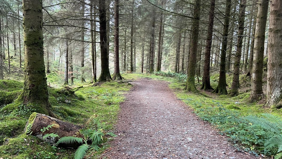 A day in Loch Ard Forest. The Trossachs. Post feature image