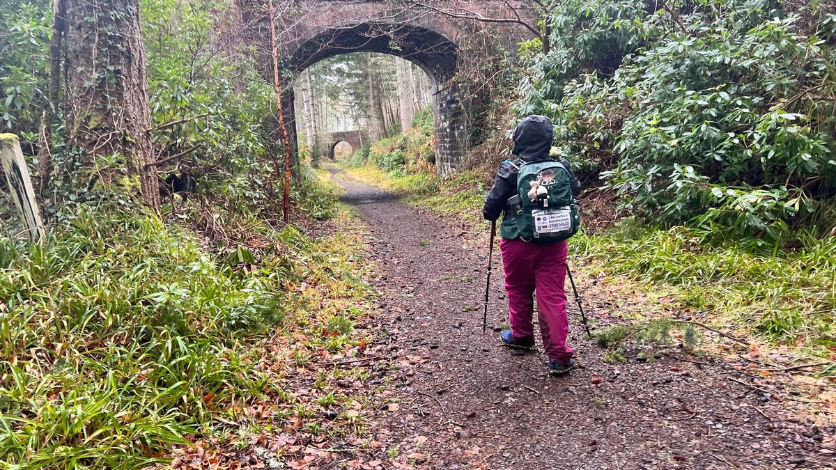 The Dava Way | Day 2 Post feature image