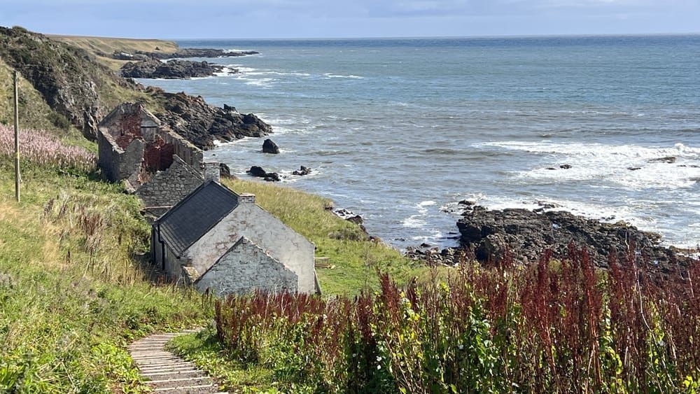 Lunan Bay to Montrose Bay | Gallery | UK Coast Post feature image