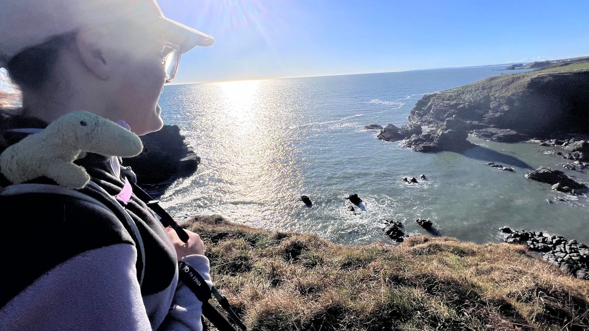 Hackley Head / Forvie Ness to Whinnyfold | Gallery Post feature image