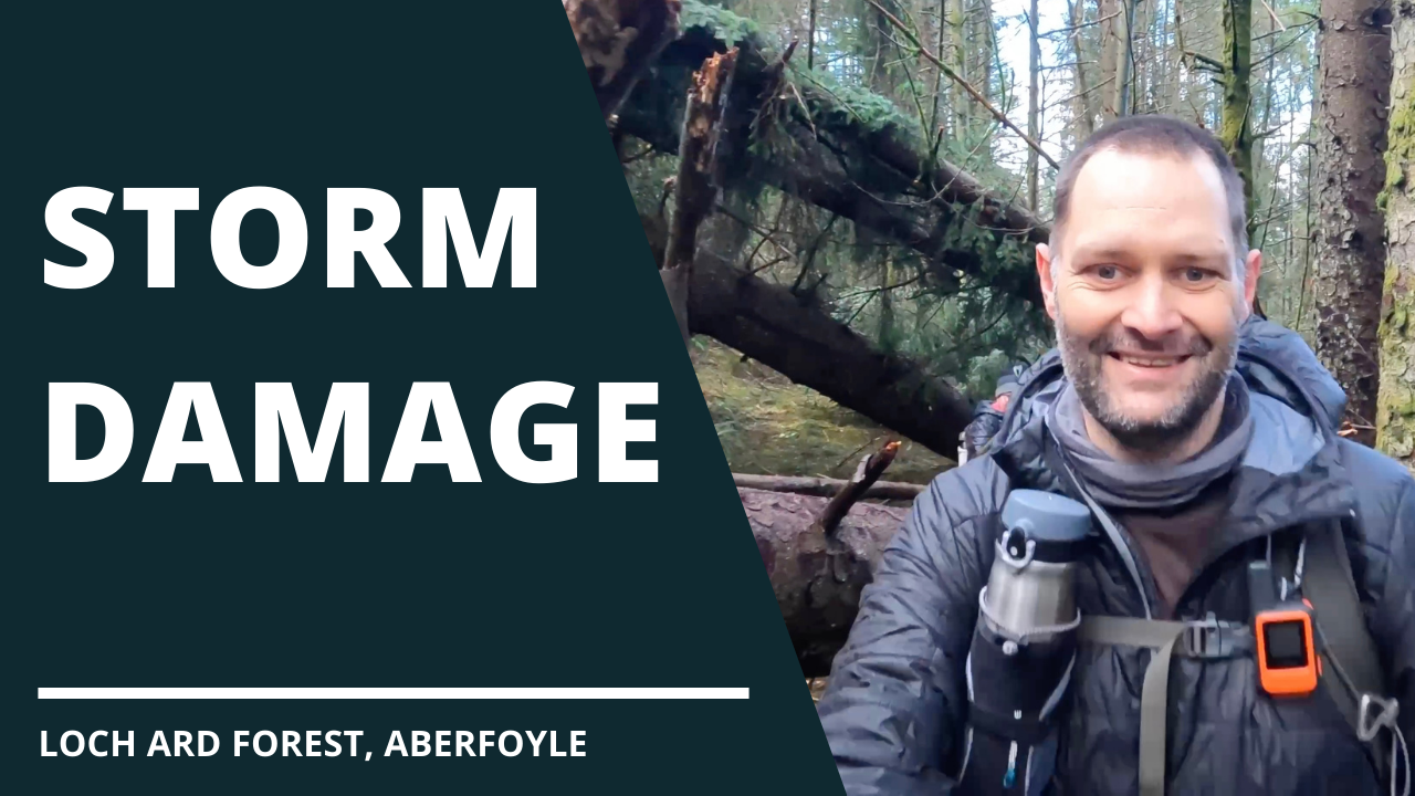 Storm Damage | Aftermath of Storm feature image
