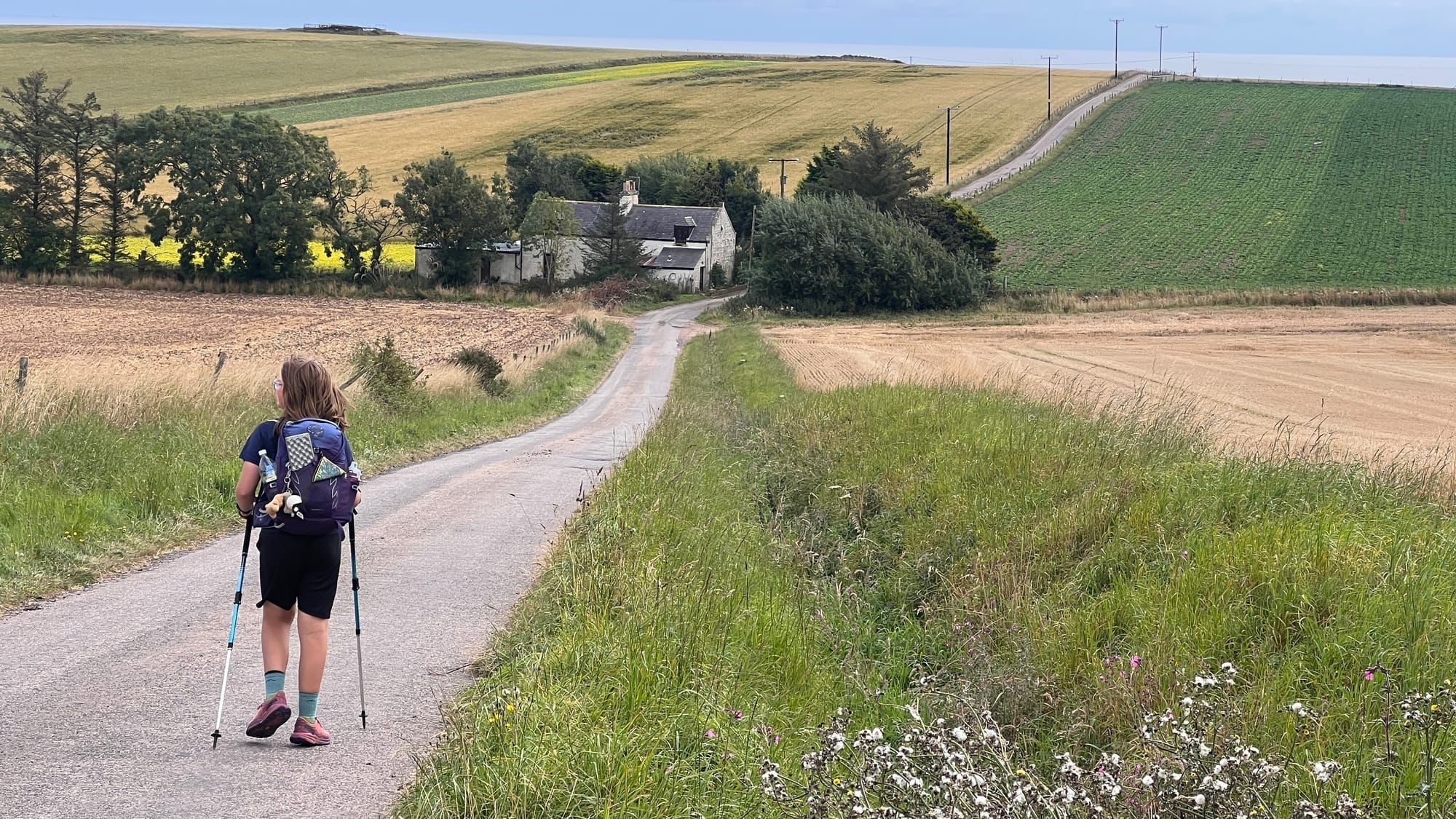Haughs Bay, Johnshaven to Catterline | UK Coast feature image