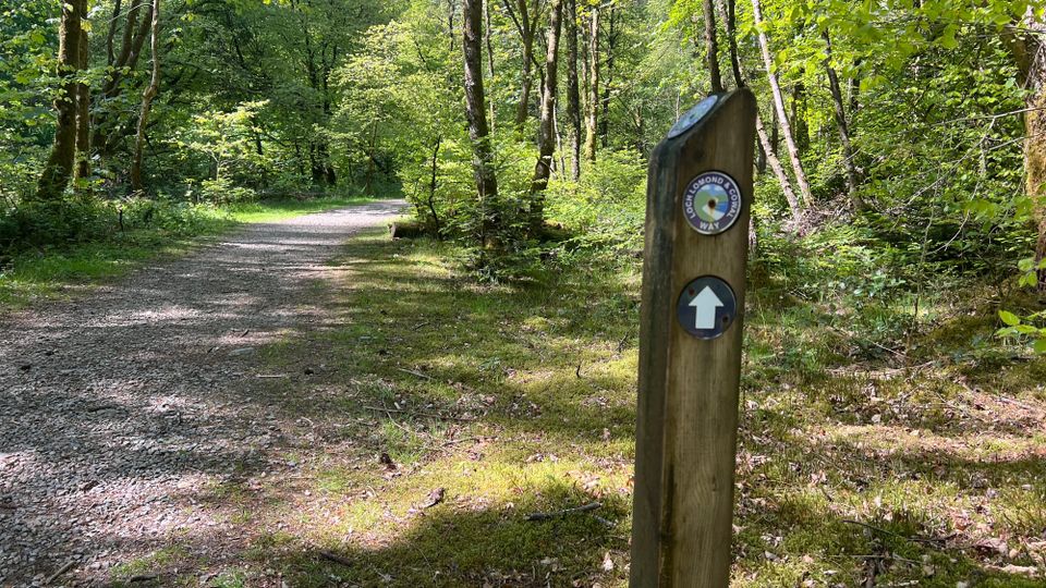 Wild Walks category feature image