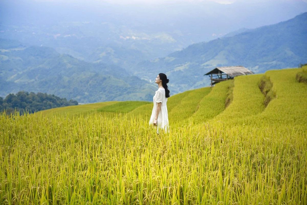 Biết đủ thường cảm thấy an vui