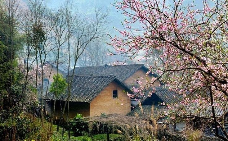 Lập Xuân, lập đức, lập hành, kiến tạo một năm tươi đẹp