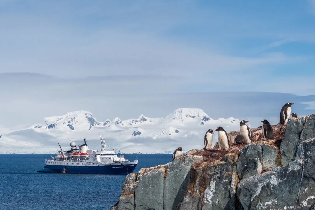 3 điều tôi học được ở Nam Cực