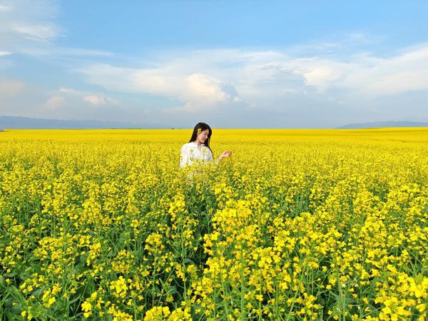 Sống ở đời, phải biết buông bỏ mới có thể đạt được