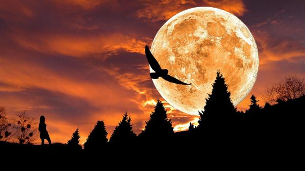 Ngày tận thế cận kề – Người bảo vệ Bóng Trăng xuất hiện